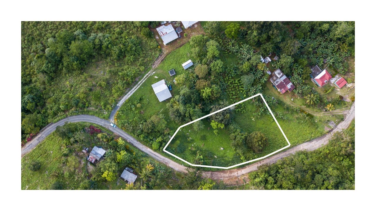 (SOLD) Gibraltar/Clover Hill, St. Ann, Jamaica YouTube