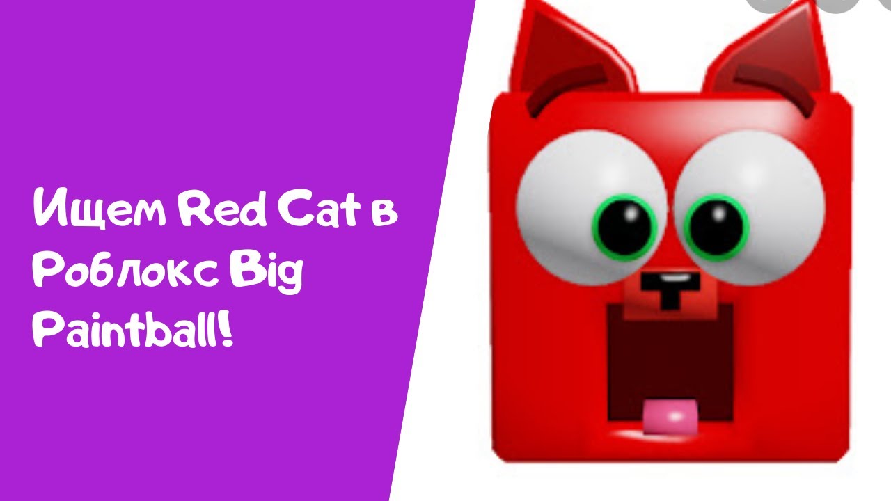 Покажи red cat