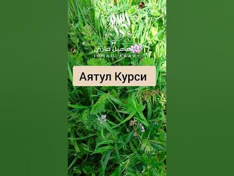 Аятул Курси очищает душу и вашего дома #ясинзащитаотшайтана #куран # ...