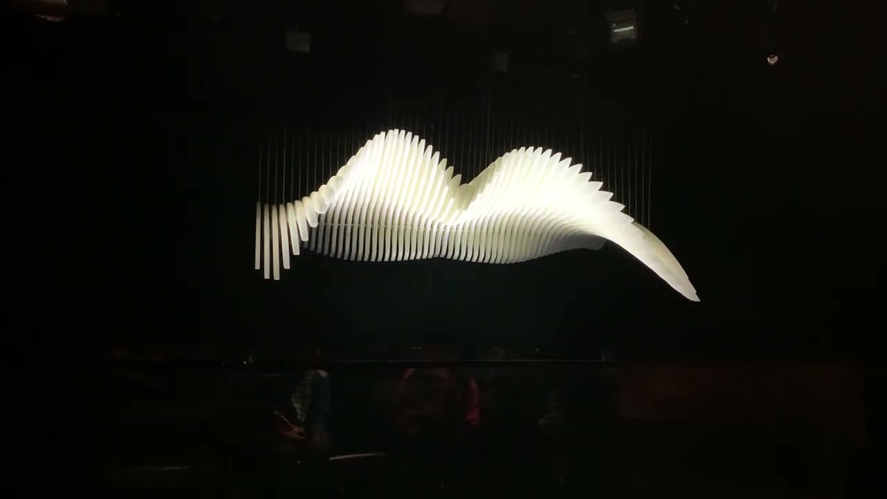 How did Bunjil, the eagle,  Australian First nations Kinetic Art exhibit. ഓസ്‌ട്രേലിയൻ മ്യൂസിയം