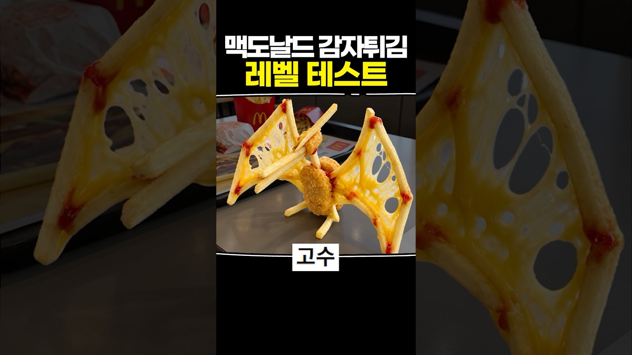 맥도날드 감자튀김 레벨 테스트