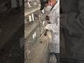 Shocking Pigeon Treatment Process 🐦💉 | Farming Secret Revealed 😱🔥 #shorts #PigeonFarming #BirdCare