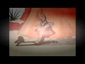 Wile E. Coyote and The Road Runner [episode] 1-10