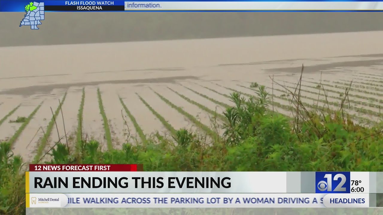 Heavy rain causes flash flood emergency in Mississippi - YouTube