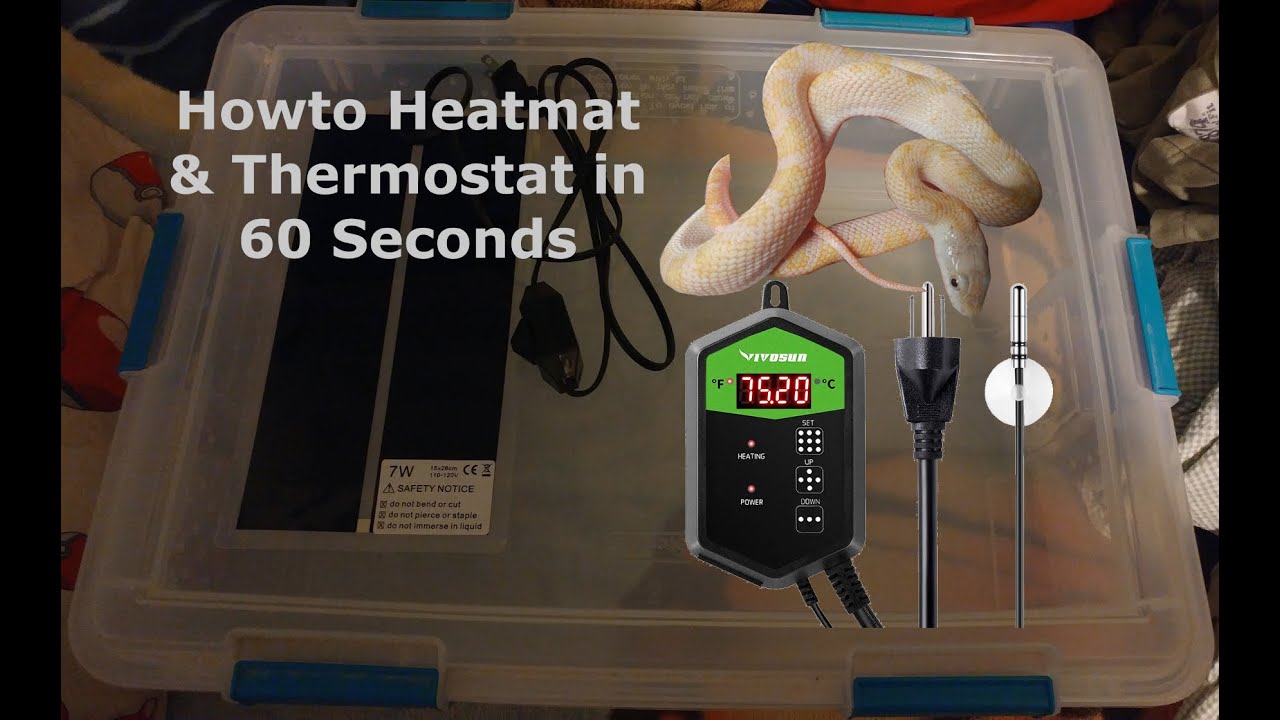How to set up Heat Mat and Thermostat for a Cornsnake: Guide 