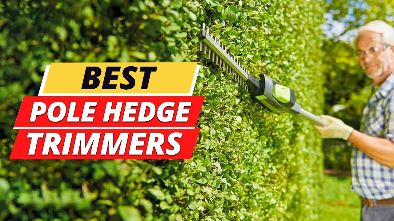 10 Best Pole Hedge Trimmers for 2023 - The Jerusalem Post