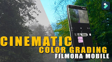 Cinematic Color Grading in Filmora Mobile #filmora