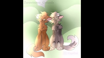 army dreamer - oc lore #warriorcats #oc #lore #animation #viralvideo #cat #capcut #edit #art