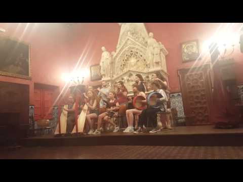 Music Generation Laois Trad Group 1916 Sitges Performance