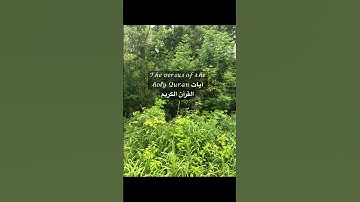 𝒯𝒽𝑒 𝓋𝑒𝓇𝓈𝓊𝓈 𝑜𝒻 𝓉𝒽𝑒 𝒽𝑜𝓁𝓎 𝒬𝓊𝓇𝒶𝓃 آيات القرآن الكريم⁩⁩