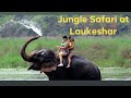 Jungle safari at laukeshar