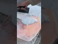 Roof Waterproofing Repair | Membrane Patching &amp; Sealing Technique