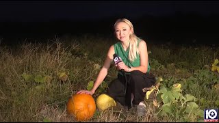 Central Texas farm expects successful fall crop after extremely wet spring, dry summer