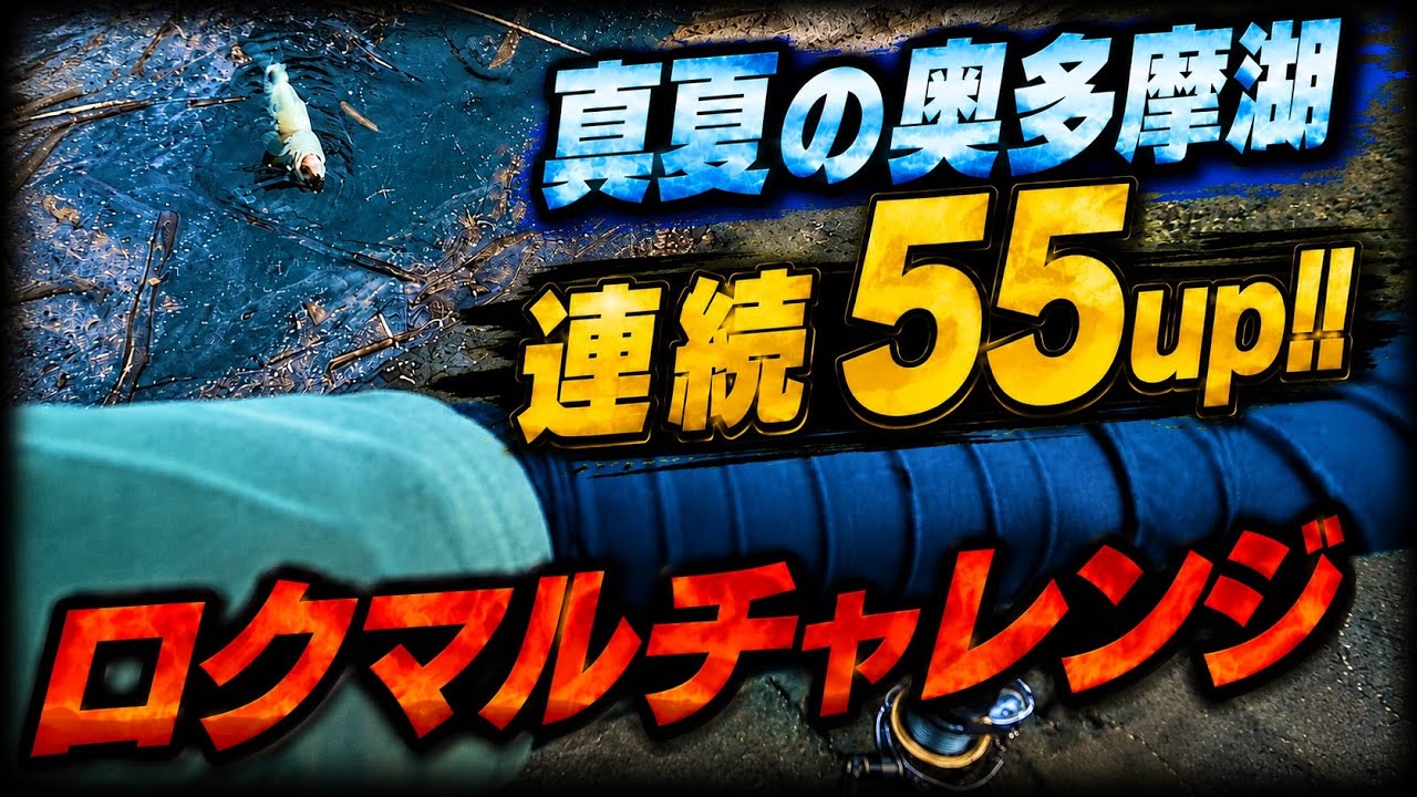 8月の奥多摩湖で連続55up！【真夏】【サイトフィッシング】【デカバス】【MMZ】【バックウォーター】