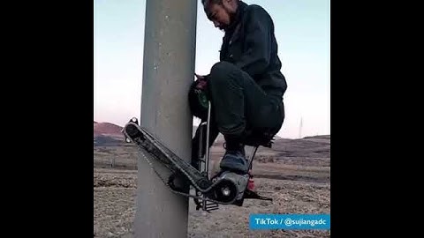 pole climbing robot