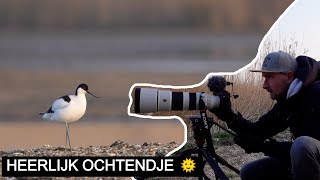 : Heerlijk Wakker Worden In Waterrijk Sony A7 Iv