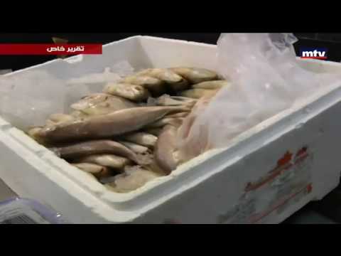    05 09 2016 بلبلة في حملة سلامة الغذاء