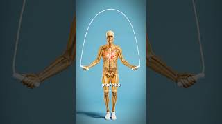 Download Lagu What Happens If You Keep Jumping Rope? 😲 | Jump Rope Facts #shorts MP3