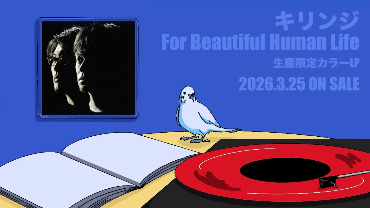 【レア】キリンジ For Beautiful Human Life 韓国盤 Amazon.co.jp: キリンジ For Beautiful Human Life LP : おもちゃ