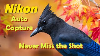 Nikon Auto Capture - An amazing feature we will walk you through an easy and effective way to use it