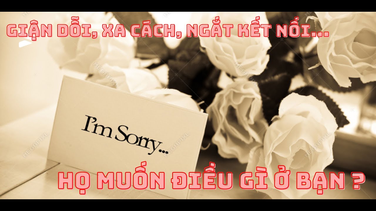 💕 TAROT | XA CÁCH, NGẮT KẾT NỐI, ĐIỀU HỌ MUỐN Ở BẠN LÀ GÌ? (Thông Điệp Ngẫu Nhiên Không Chọn Tụ)