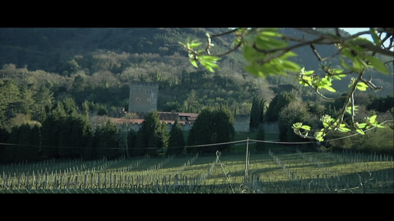 Bodegas Galdames - Vídeo Corporativo HD