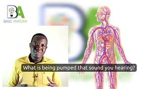 MOST VITAL ORGANS OF THE BODY