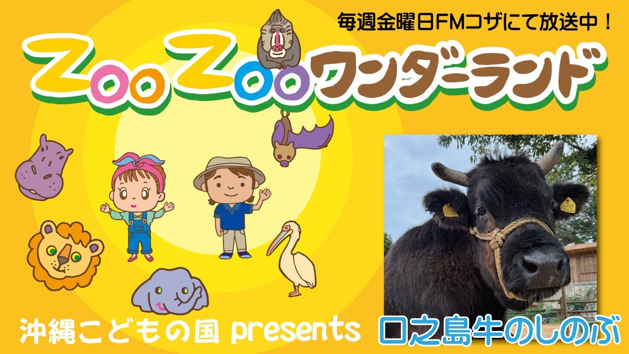 Kuchinoshima Cow Shinobu [FM Koza] ZOOZOO Wonderland #native