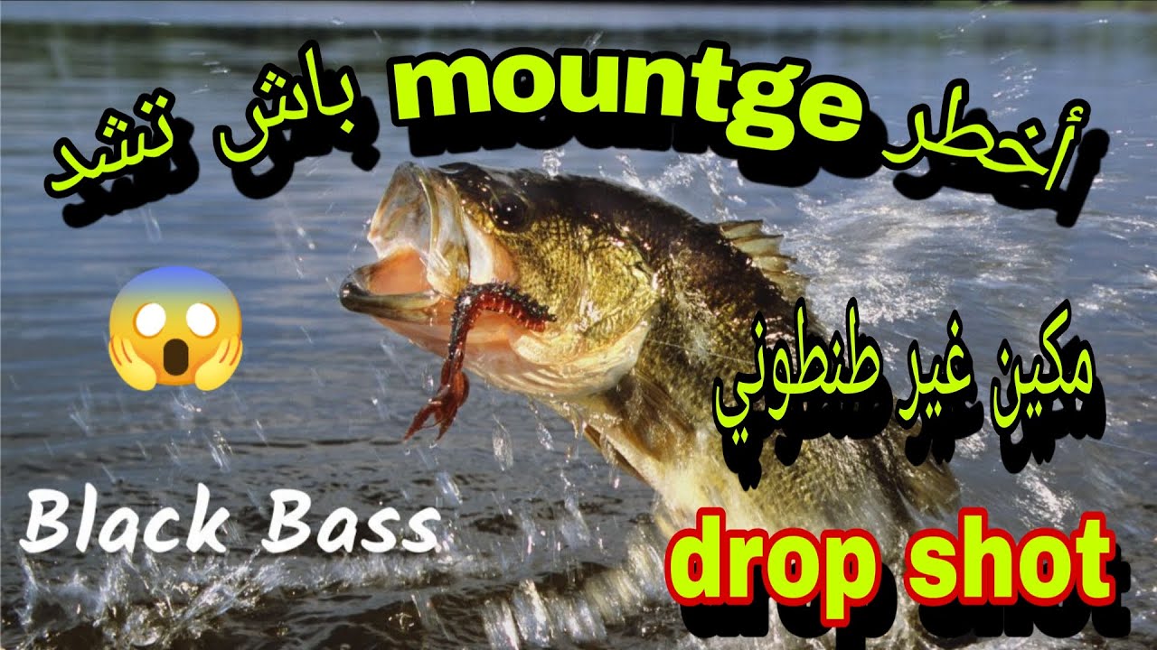 أخطر منطاج ديال بلاك باص drop shot 😱 مكين غير طنطوني 🙏🙏🎣🤣