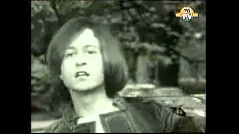 Michel Polnareff   La poupee qui fait non  Rare Original Video 1966