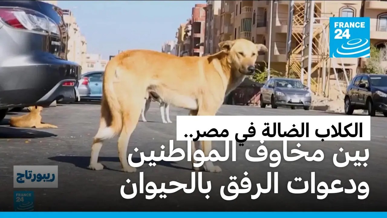 ���: ������ ������ ������.. ��� ���� ������ ��� ������ɿ
 - نشر قبل 11 دقيقة