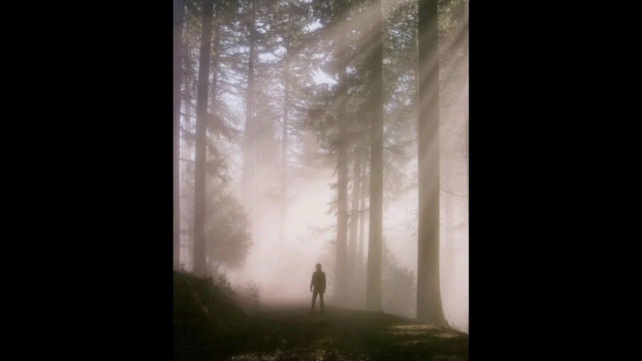 PAL PAL song  ❤️‍🩹 LYRICS VIDEO MUSIC short video