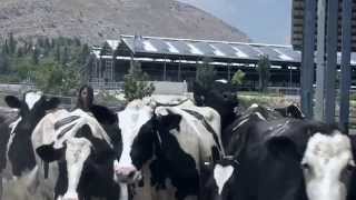 SCR New Applications 2015 screenshot 5