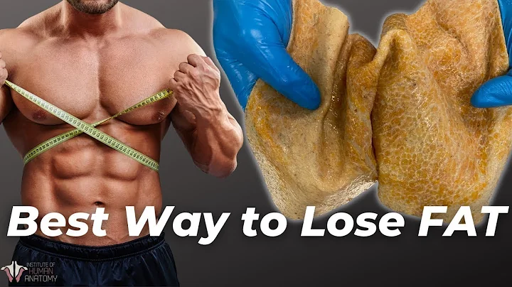 The Best Way to Lose Fat | The Science of the Fat Burning Zone - DayDayNews