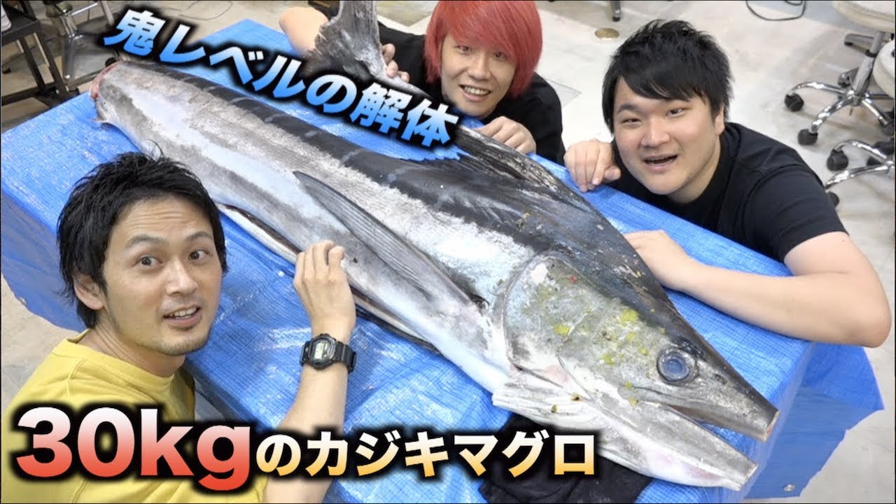 30kgのカジキマグロの解体の難易度が鬼すぎる件wwww