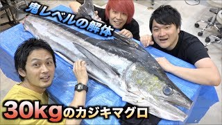 30kgのカジキマグロの解体の難易度が鬼すぎる件wwww
