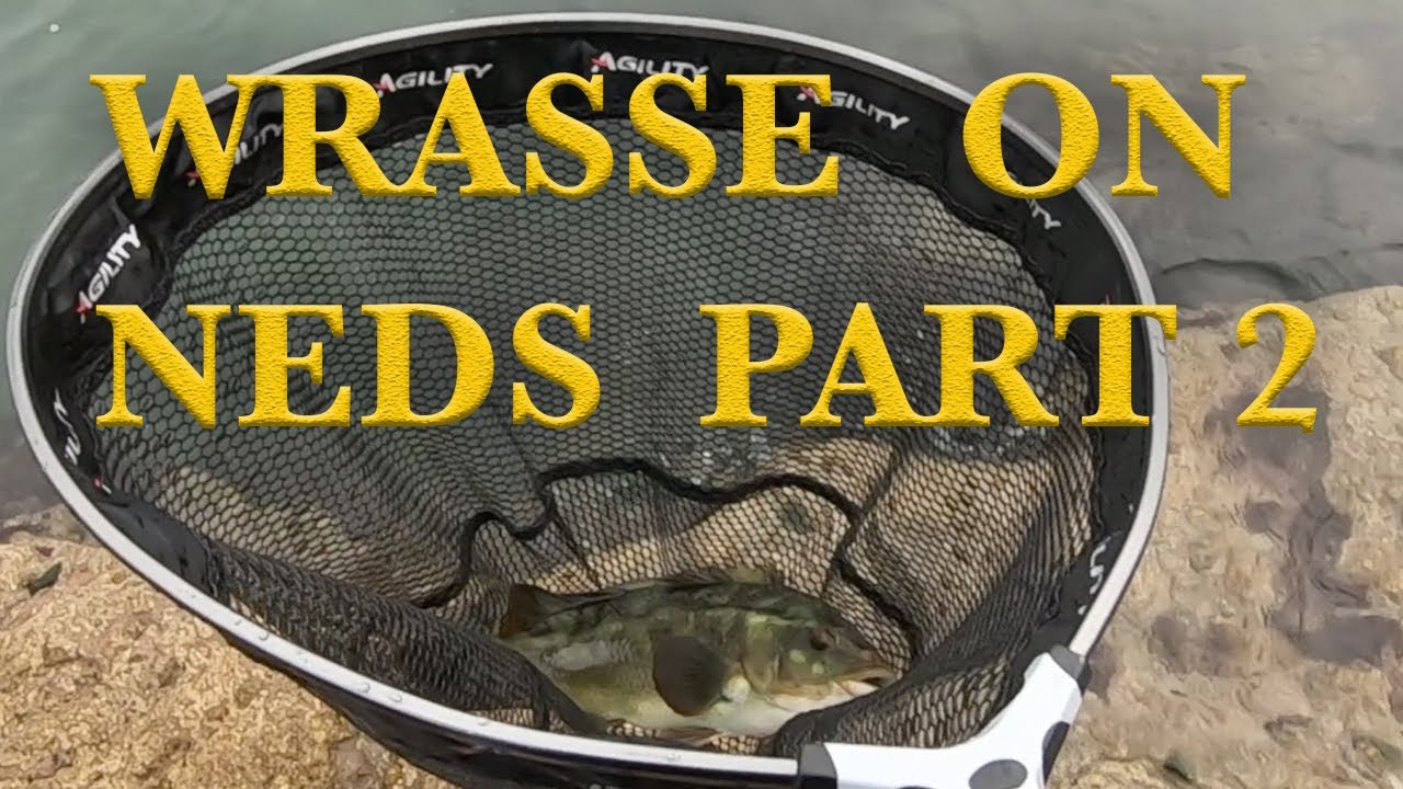 LURE FISHING FOR WRASSE WITH NED LURES PART 2 YouTube
