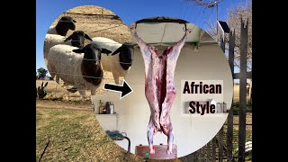 Want Lamb Chops? Witnessed Slaughtering a Sheep on A Farm -- African Home Style
