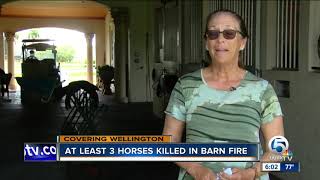 At least 3 horses killed in Wellington barn fire