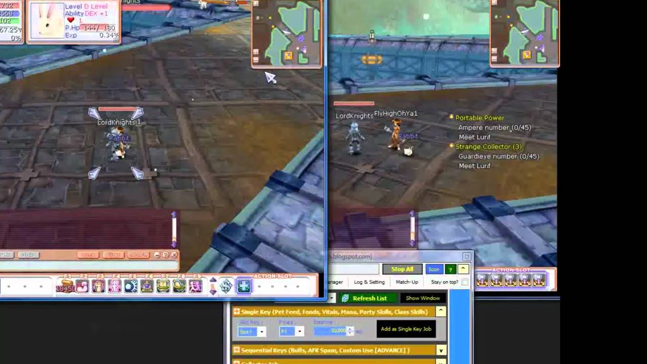 Flyff Pet Feeder YouTube