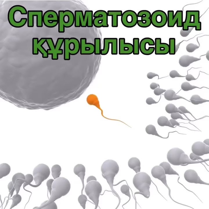 Үйдегі жалаңаш әйелдердің жеке суреттері