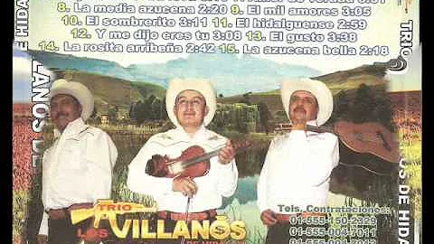 "Corrido a Emilio Chavez" Trio Villanos de Hidalgo