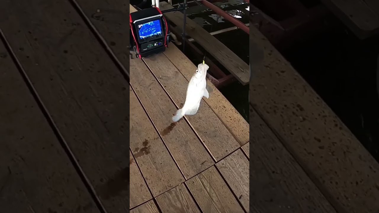 Disaster At The Last Second Then THIS Happened 