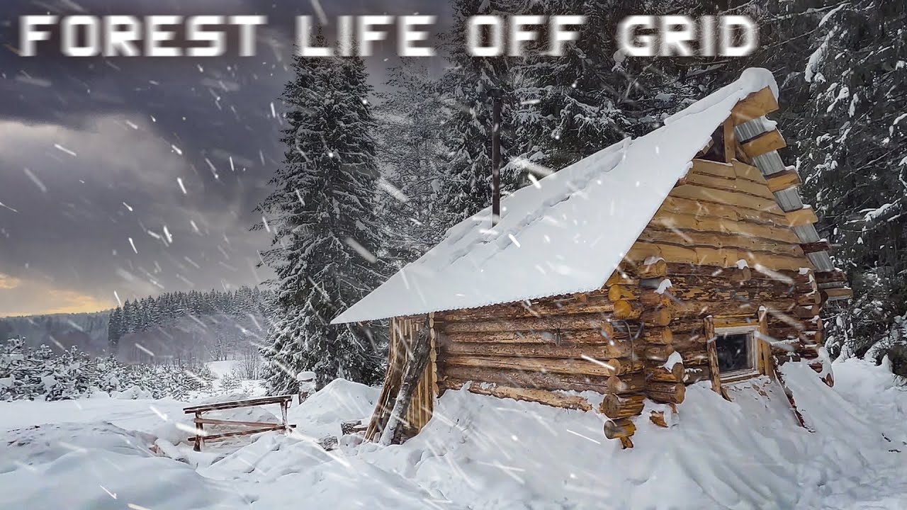 Forest Life Off Grid in a Log Cabin - Very Windy Weather - YouTube