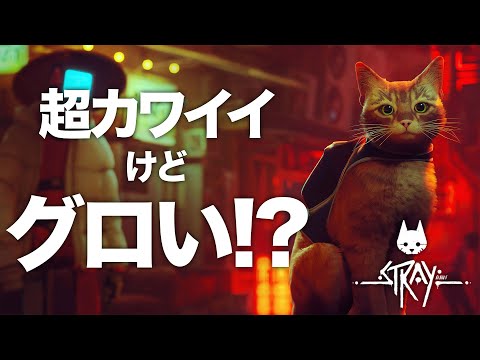 【注意】Stray（ストレイ）を猫の”癒しゲー”だと思って買うと期待が外れるかも…【新作ゲーム紹介】