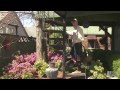 Behind The Build: Scottish Garden House | Treehouse Masters Behind The Build: Scottish Garden House | Treehouse Masters
