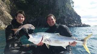 Free Diving Coromandel Crayfish Gathering & Spearfishing