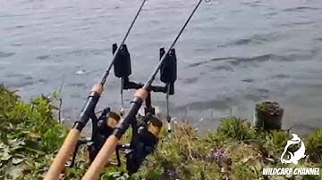 CARP RUN COMPILATION 2022! PART 39! (Nash Siren R4 / Fox Rx+ / Delkim)