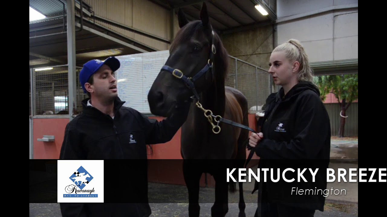 Tim Kavanagh Racing Kavanagh Racing Weekly Update - YouTube
