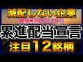 【高配当株】減配しない企業!累進配当を宣言している注目12銘柄【配当金】【不労所得】